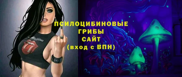 стаф Балахна