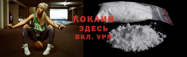 стаф Балахна